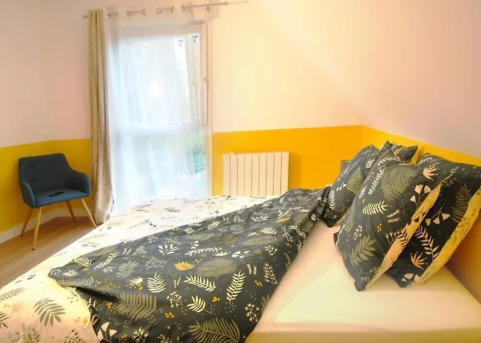 Jaune, Independant, Parking, Wifi Pres De Strasbourg *